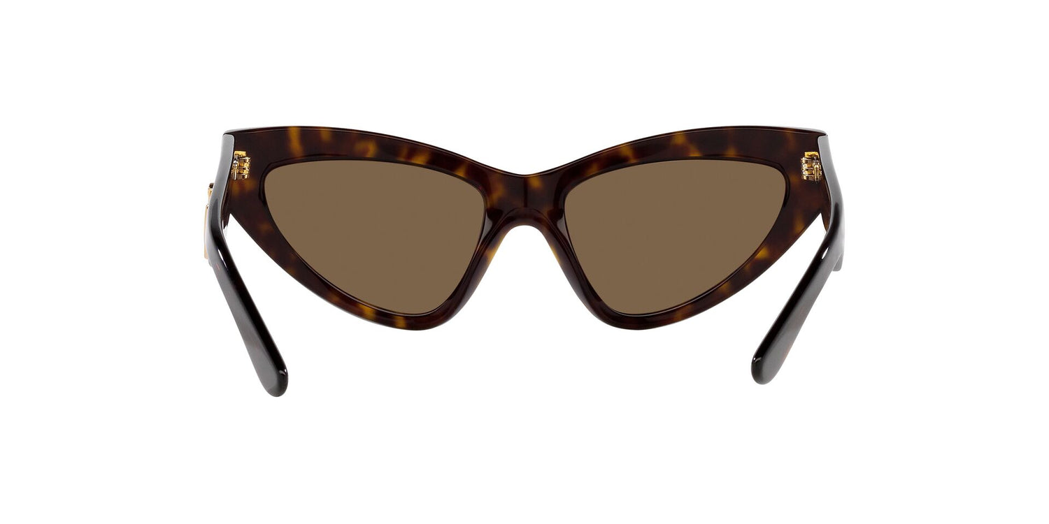 DOLCE &amp; GABBANA DG4439 502/73 55