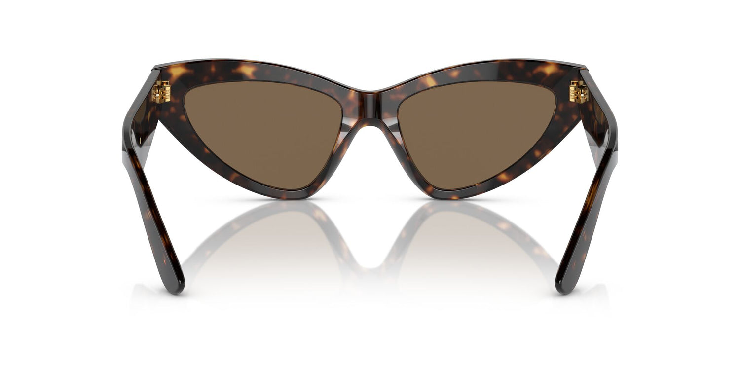 DOLCE &amp; GABBANA DG4439 502/73 55