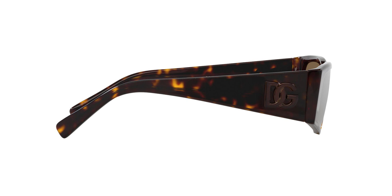 DOLCE &amp; GABBANA DG4453 502/73 55