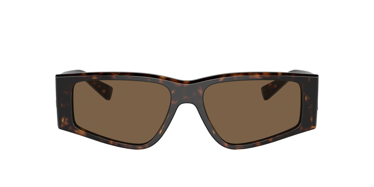 DOLCE &amp; GABBANA DG4453 502/73 55