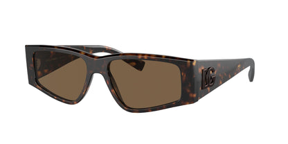 DOLCE &amp; GABBANA DG4453 502/73 55