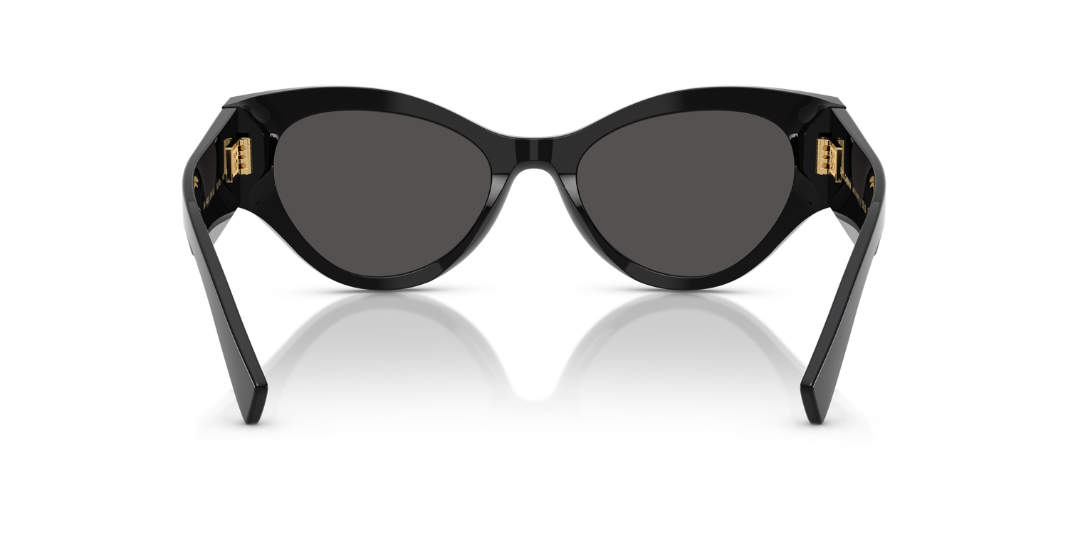 DOLCE &amp; GABBANA DG4480 501/87 53