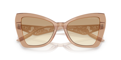 DOLCE &amp; GABBANA DG4489 343213 55