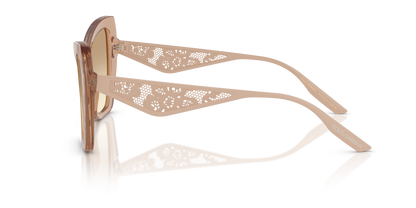 DOLCE &amp; GABBANA DG4489 343213 55