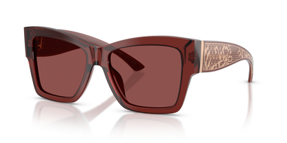 DOLCE &amp; GABBANA DG4493 304575 55