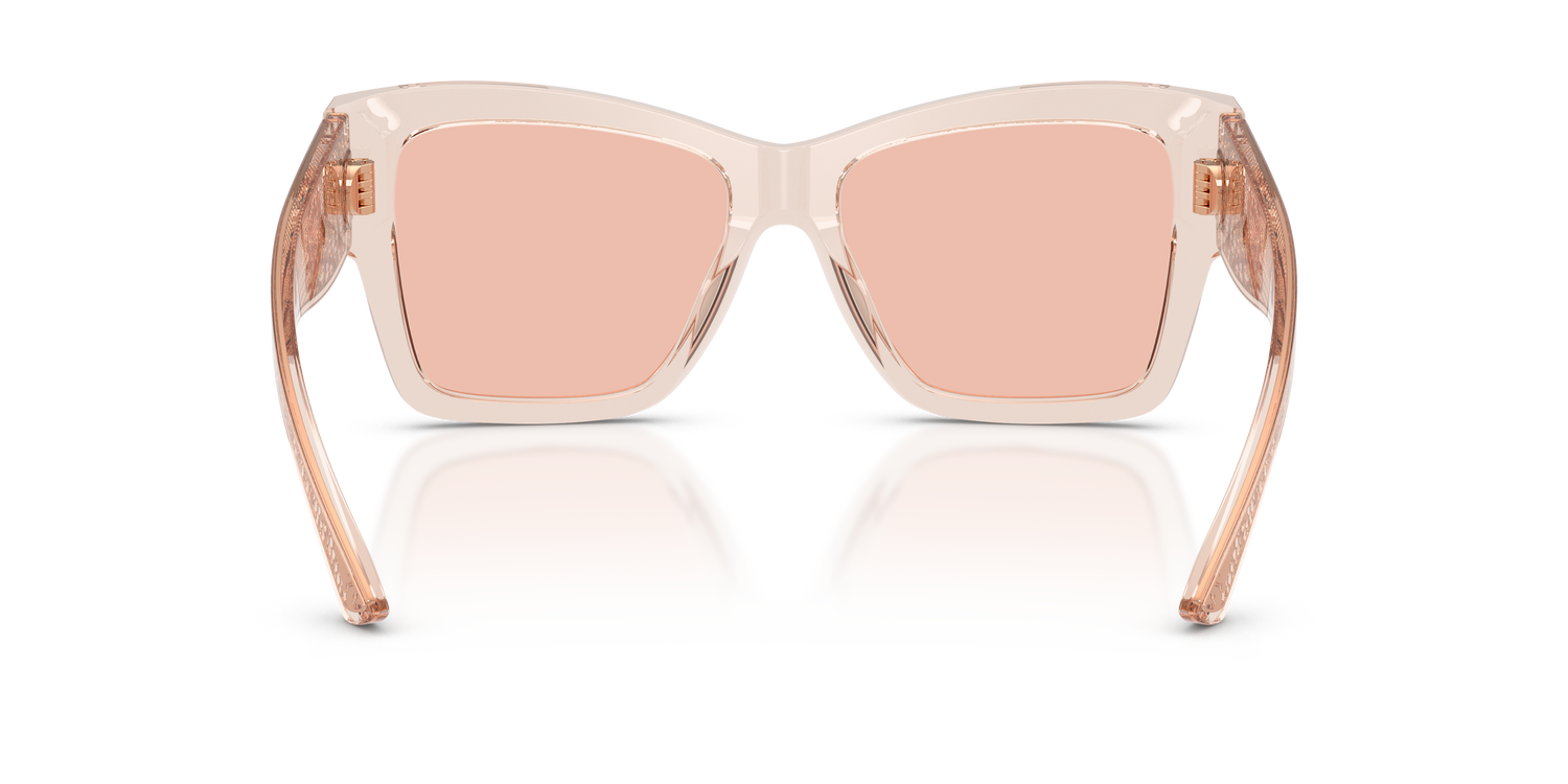 DOLCE &amp; GABBANA DG4493 314884 55