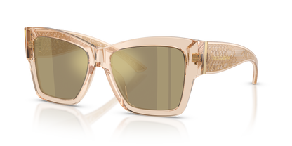 DOLCE &amp; GABBANA DG4493 343203 55