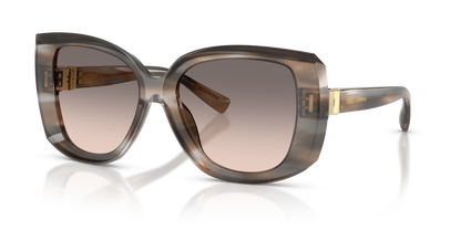 DOLCE &amp; GABBANA DG4495 34493B 56