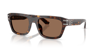 DOLCE &amp; GABBANA DG4496 502/73 54