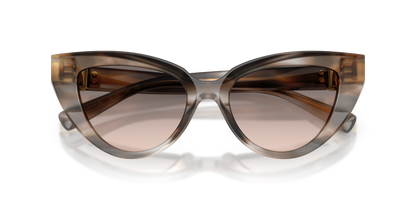 DOLCE &amp; GABBANA DG4497 34493B 52