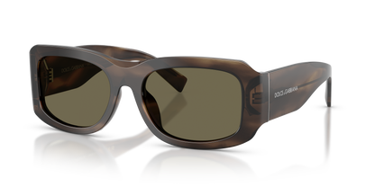 DOLCE &amp; GABBANA DG4503 3200/3 57