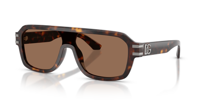 DOLCE &amp; GABBANA DG4507 502/73 27