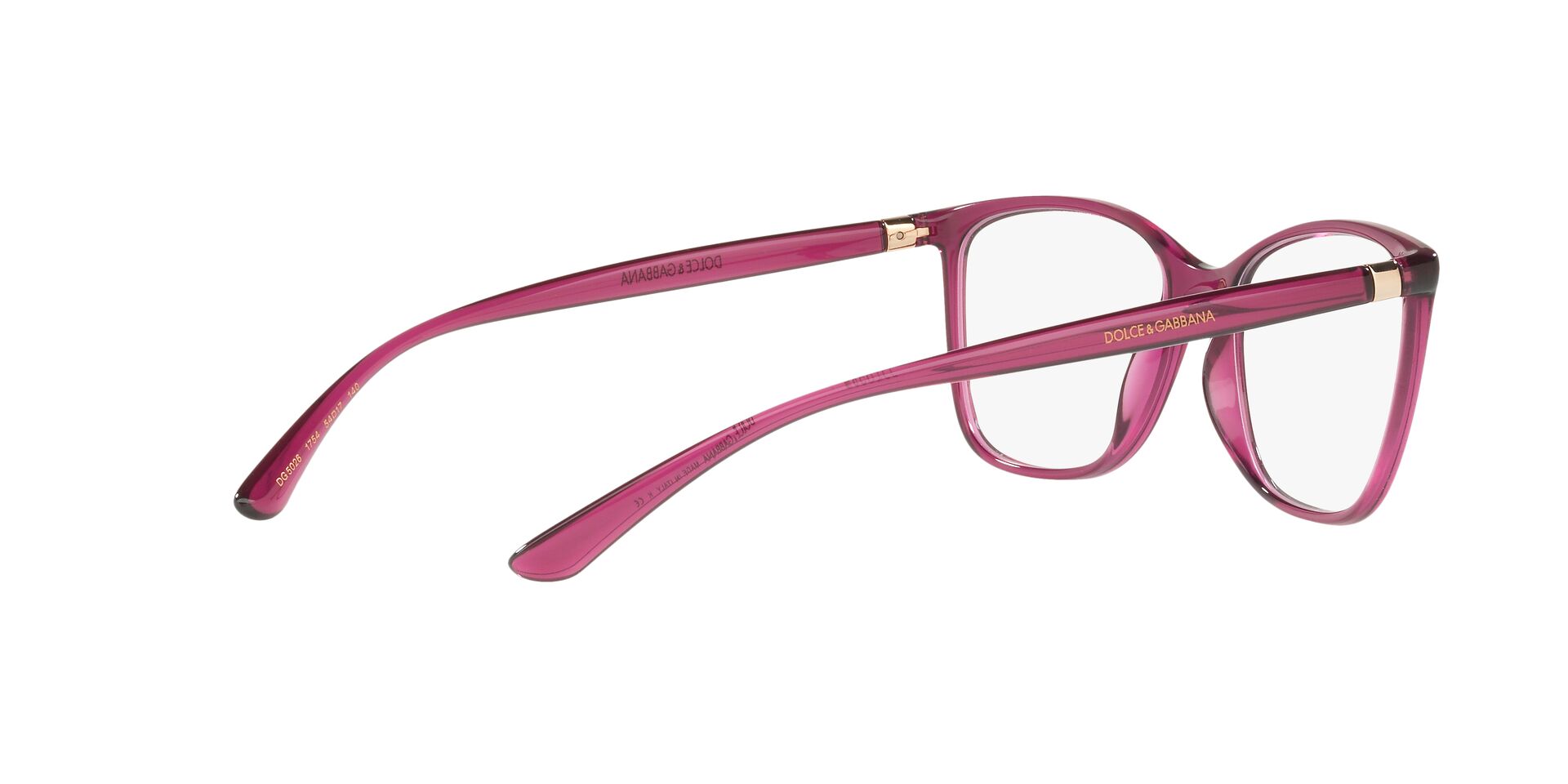 DOLCE &amp; GABBANA DG5026 1754 54 - 19