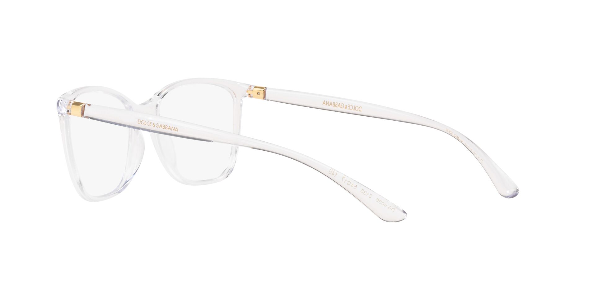 DOLCE &amp; GABBANA DG5026 3133 54