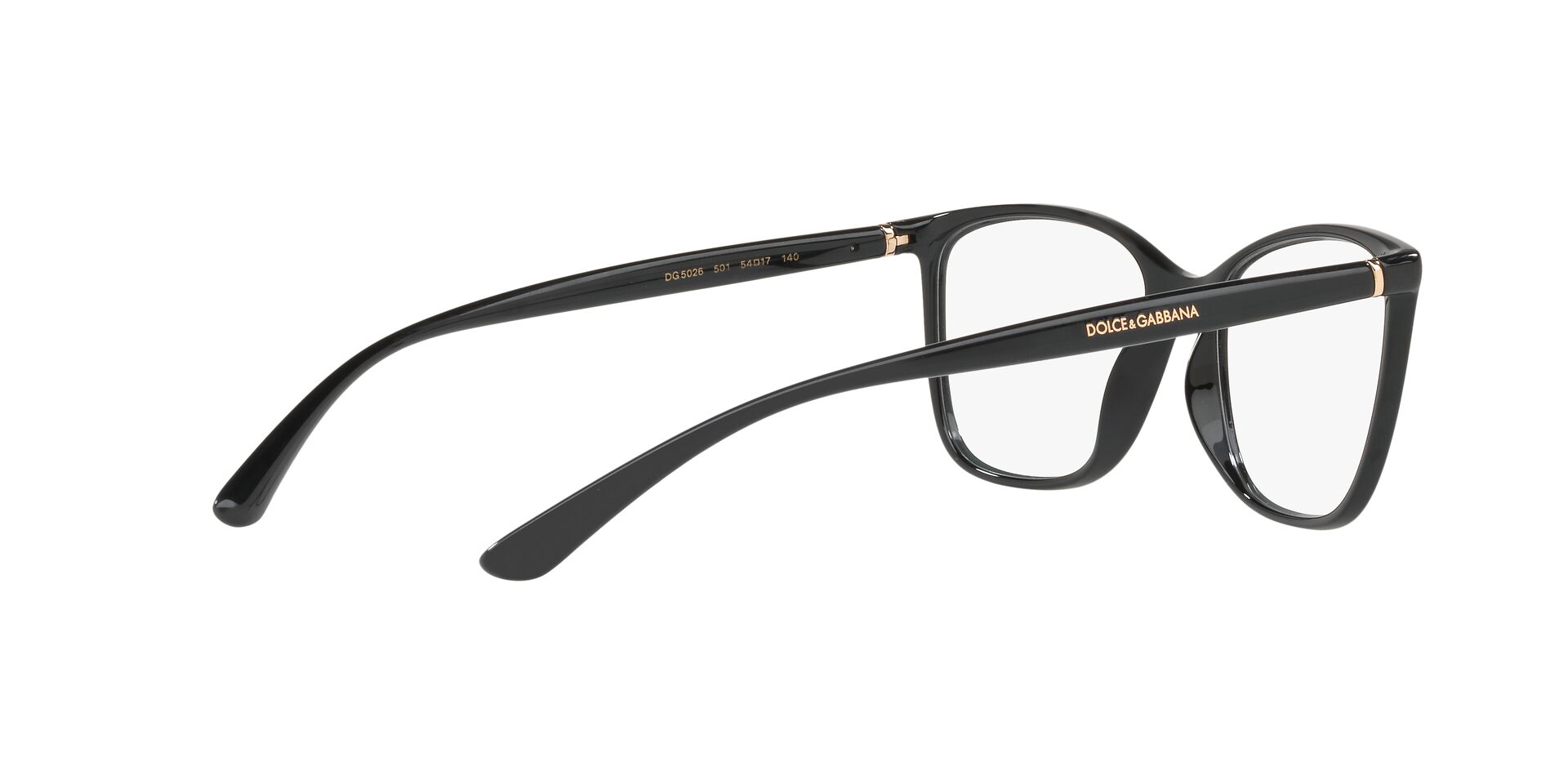 DOLCE &amp; GABBANA DG5026 501 54