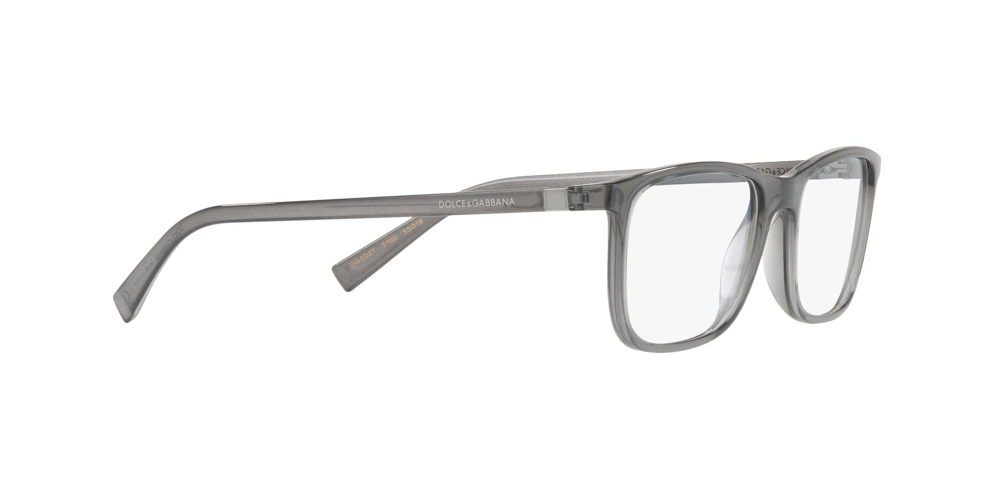 DOLCE &amp; GABBANA DG5027 3160 55