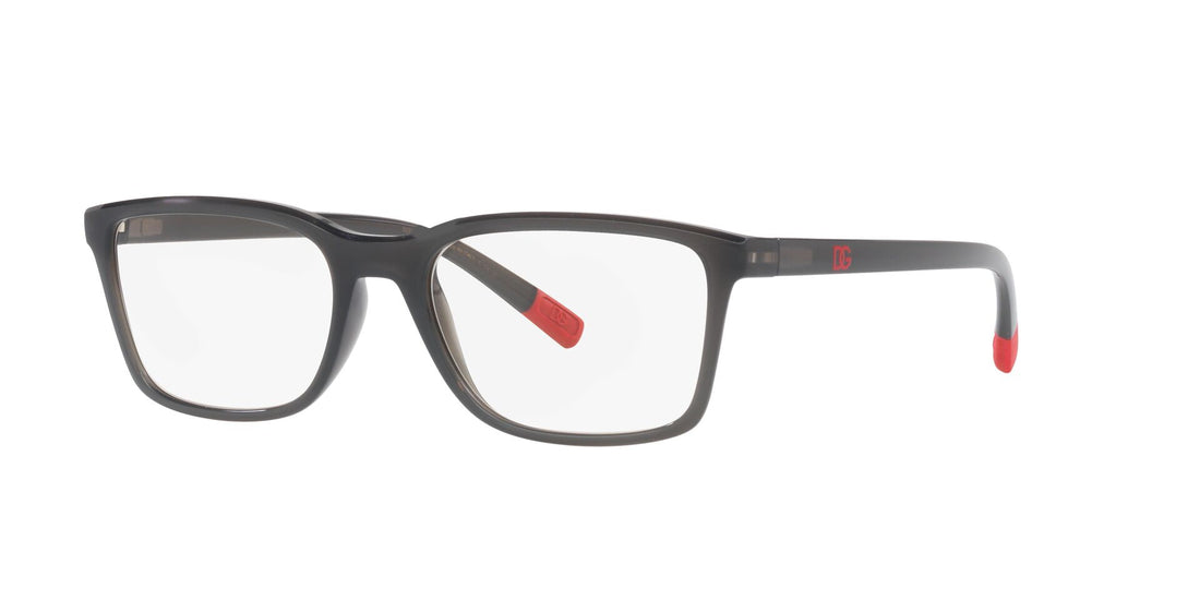 DOLCE &amp; GABBANA DG5091 3160 55