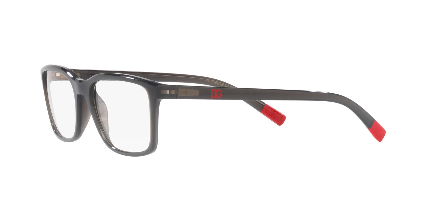 DOLCE &amp; GABBANA DG5091 3160 55