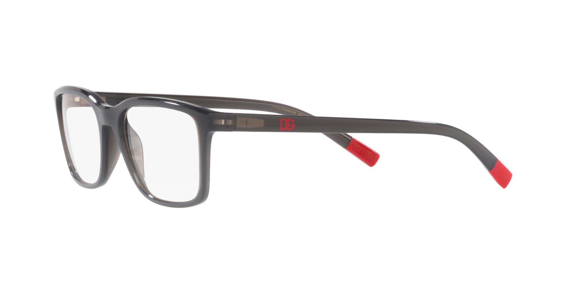 DOLCE &amp; GABBANA DG5091 3160 55