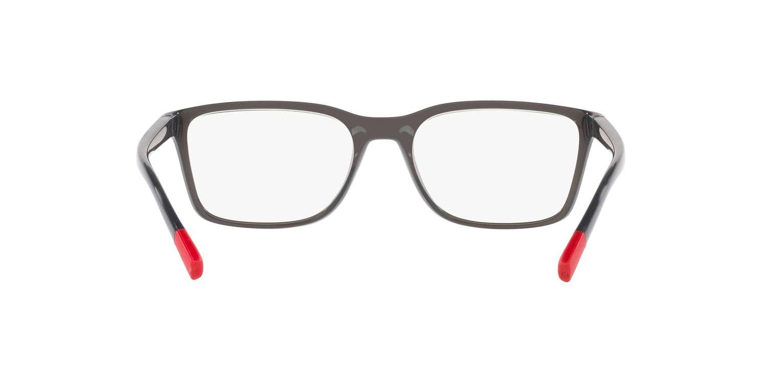 DOLCE &amp; GABBANA DG5091 3160 55