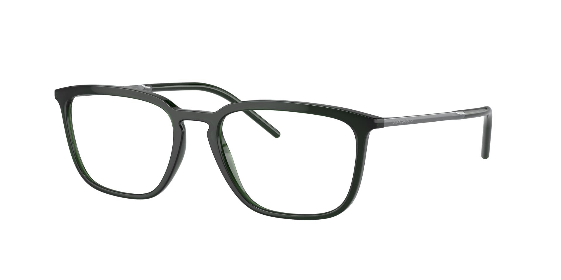 DOLCE &amp; GABBANA DG5098 3008 54