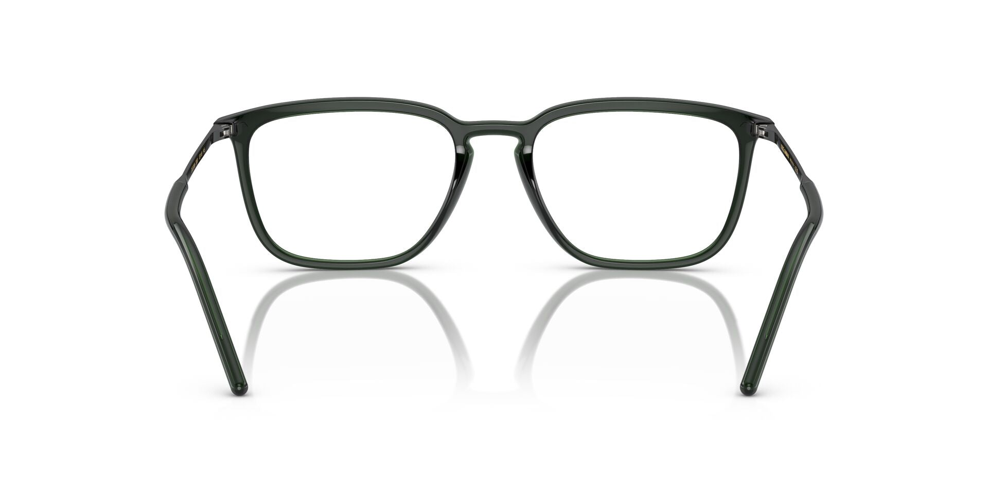 DOLCE &amp; GABBANA DG5098 3008 54