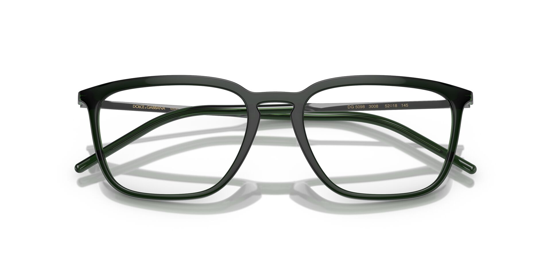 DOLCE &amp; GABBANA DG5098 3008 54