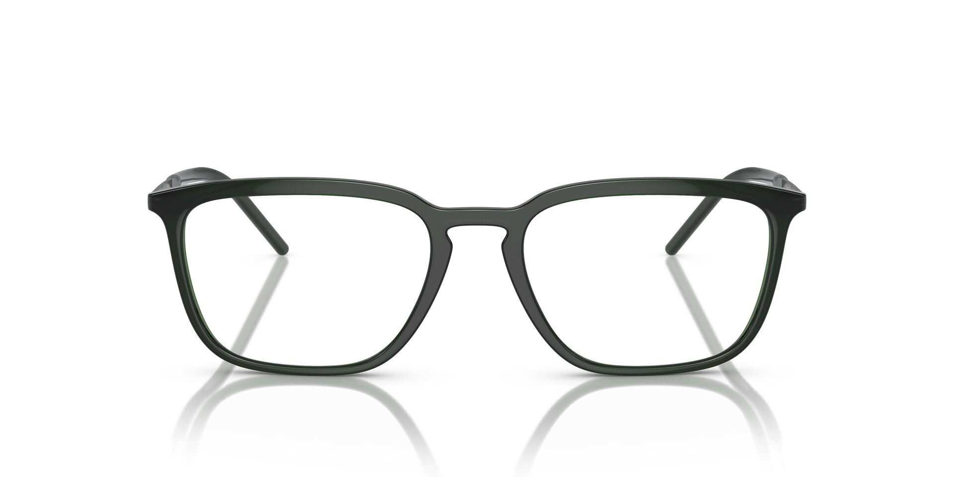 DOLCE &amp; GABBANA DG5098 3008 54