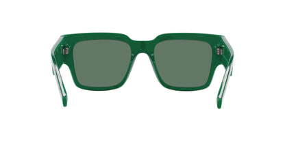 DOLCE &amp; GABBANA DG6184 331182 52