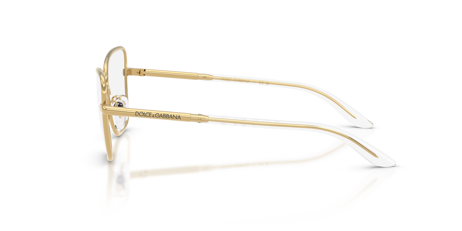 DOLCE &amp; GABBANA DX1102 02 50