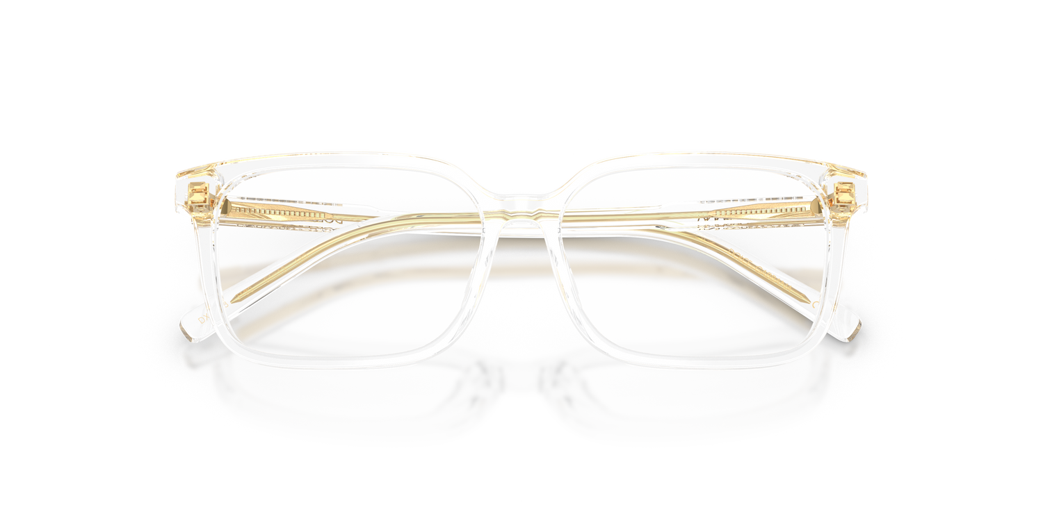 DOLCE &amp; GABBANA DX3003 3133 49