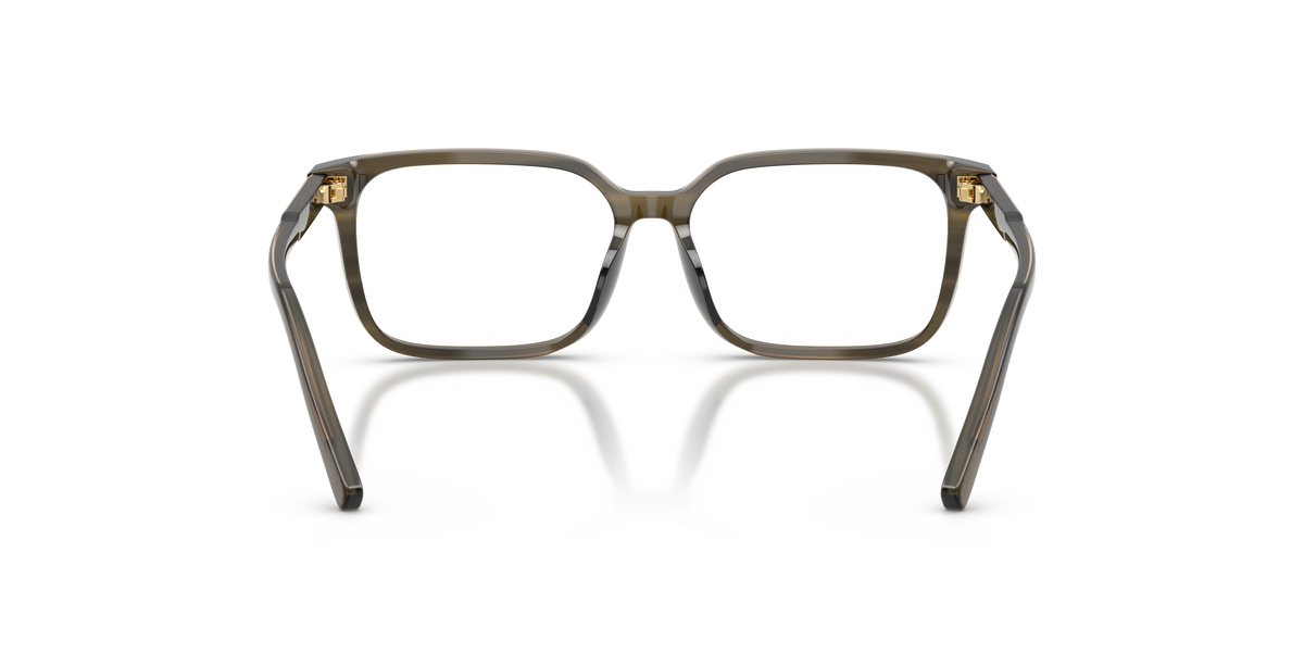 DOLCE &amp; GABBANA DX3003 3480 49