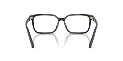 DOLCE &amp; GABBANA DX3003 501 51