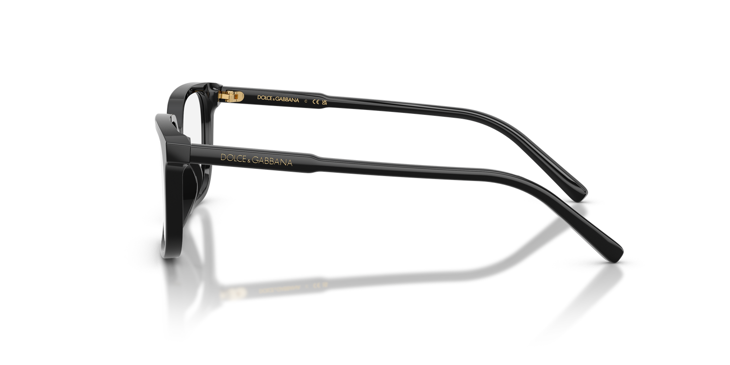 DOLCE &amp; GABBANA DX3003 501 51