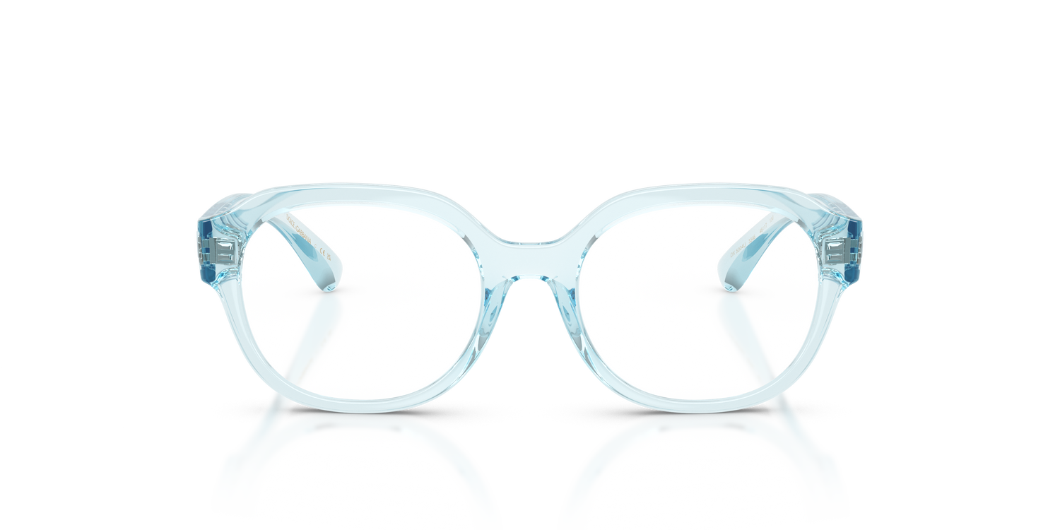 DOLCE &amp; GABBANA DX5004U 3346 48