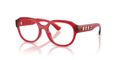 DOLCE &amp; GABBANA DX5004U 3409 48