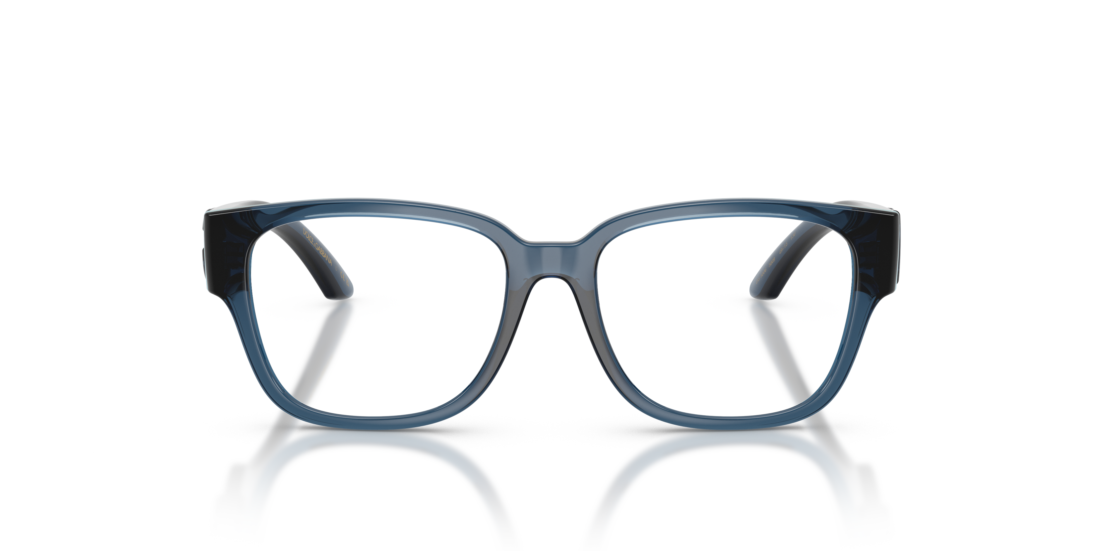 DOLCE &amp; GABBANA DX5006 3009 49