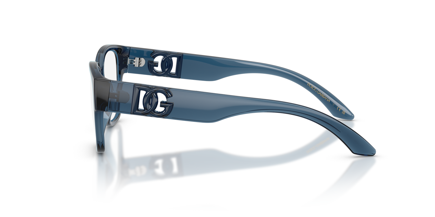 DOLCE &amp; GABBANA DX5006 3009 49