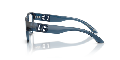 DOLCE &amp; GABBANA DX5006 3009 49