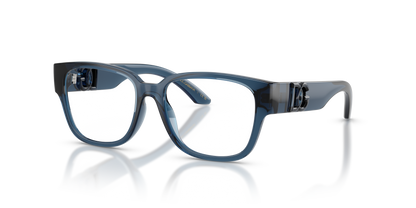 DOLCE &amp; GABBANA DX5006 3009 49