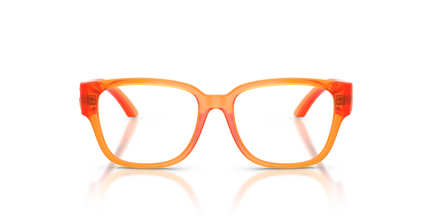 DOLCE &amp; GABBANA DX5006 3388 49