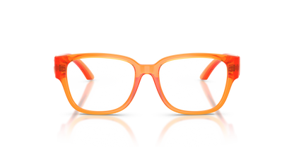 DOLCE &amp; GABBANA DX5006 3388 49