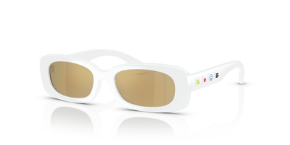 DOLCE &amp; GABBANA DX6006U 33127P 46