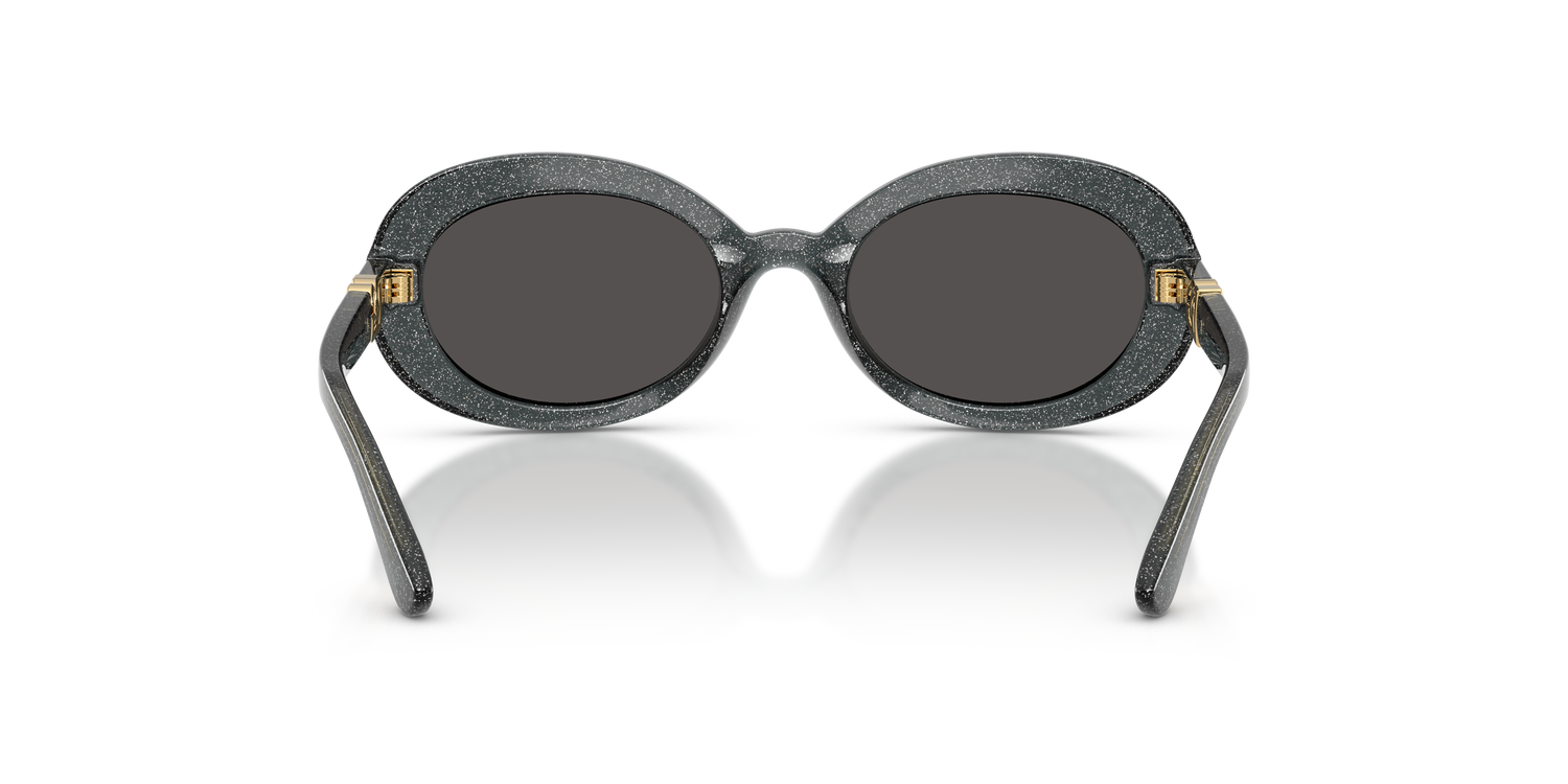 DOLCE &amp; GABBANA DX6007U 324187 49