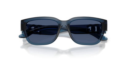 DOLCE &amp; GABBANA DX6009 300980 50