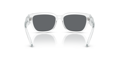 DOLCE &amp; GABBANA DX6009 31336G 50