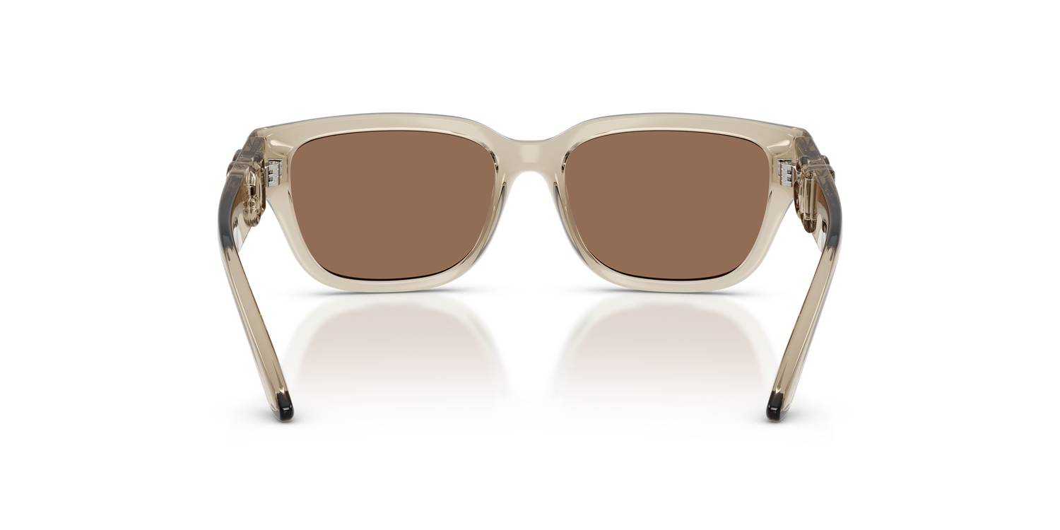 DOLCE &amp; GABBANA DX6009 329173 50