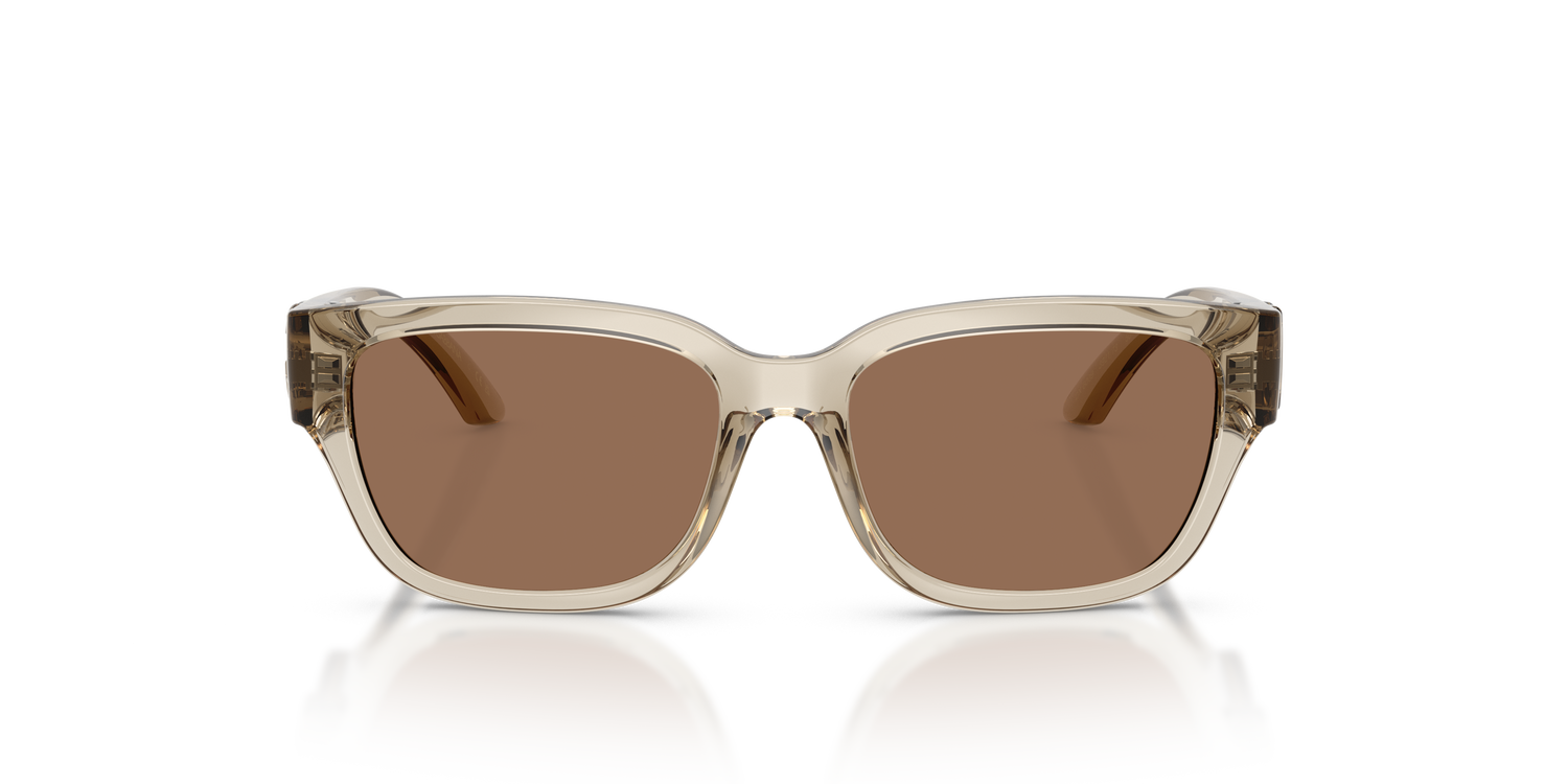 DOLCE &amp; GABBANA DX6009 329173 50