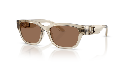 DOLCE &amp; GABBANA DX6009 329173 50