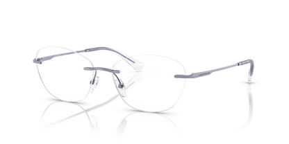 EMPORIO ARMANI EA1167 3383 55